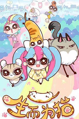 江门校园seo优化